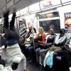 PSA: Some Subway Performers Actually Deserve Your Attention